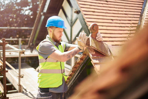 Best Roof Waterproofing Services  in Kendall Park, NJ